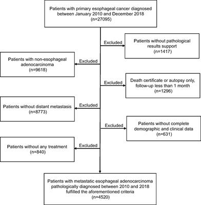 A machine learning model predicting candidates for surgical treatment modality in patients with distant metastatic esophageal adenocarcinoma: A propensity score-matched analysis